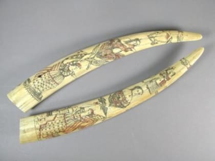 Colmillos de morsa tallados, robados de un museo de California (FB/Oakland Police Department)