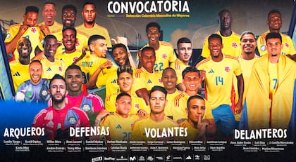 Colombia convocó a sus máximas figuras en sus últimos partidos eliminatorios (web/ Federación Colombiana de Futbol)