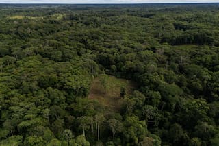 Colombia usará drones para destruir cultivos de coca ante récord de producción de cocaína