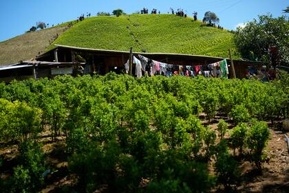 Colombia y Clan del Golfo culminan en Qatar primera ronda de diálogo buscando su desmovilización