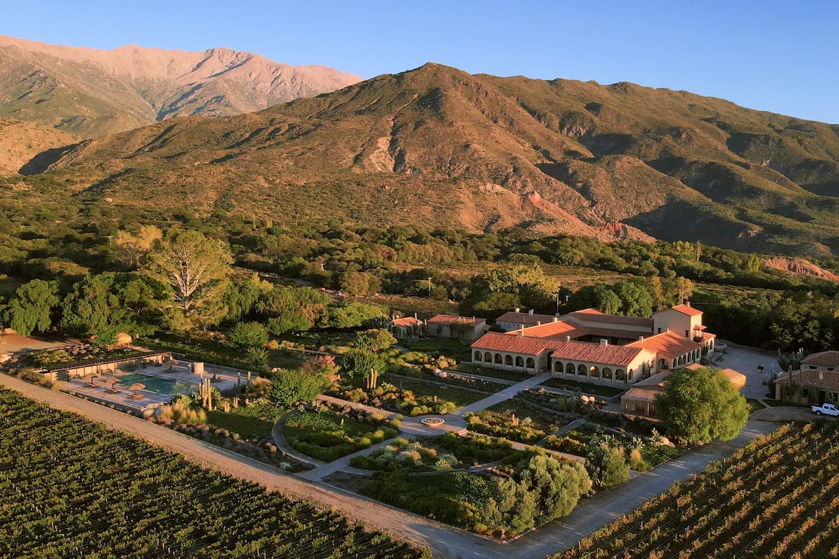 Colomé, la única bodega salteña en el ranking