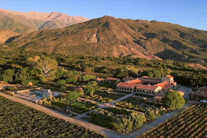 Colomé, la única bodega salteña en el ranking