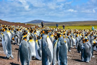 Las Malvinas, en una escala diferente
