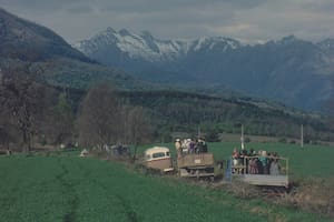 Colonia Dignidad narra la historia de Paul Schäfer, un alemán acusado de delitos sexuales, se escapa a Chile, donde funda junto con otros emigrados una colonia agrícola en una zona estéril y alejada del centro-sur del país