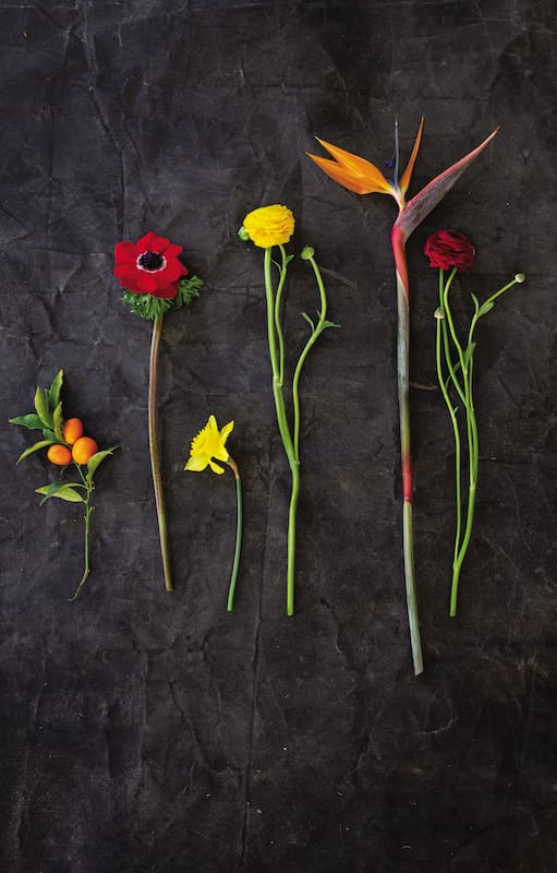 Colores, formas y texturas: así percibe el ojo humano la belleza de los arreglos florales.