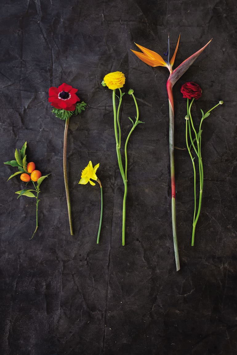 Colores, formas y texturas: así percibe el ojo humano la belleza de los arreglos florales.