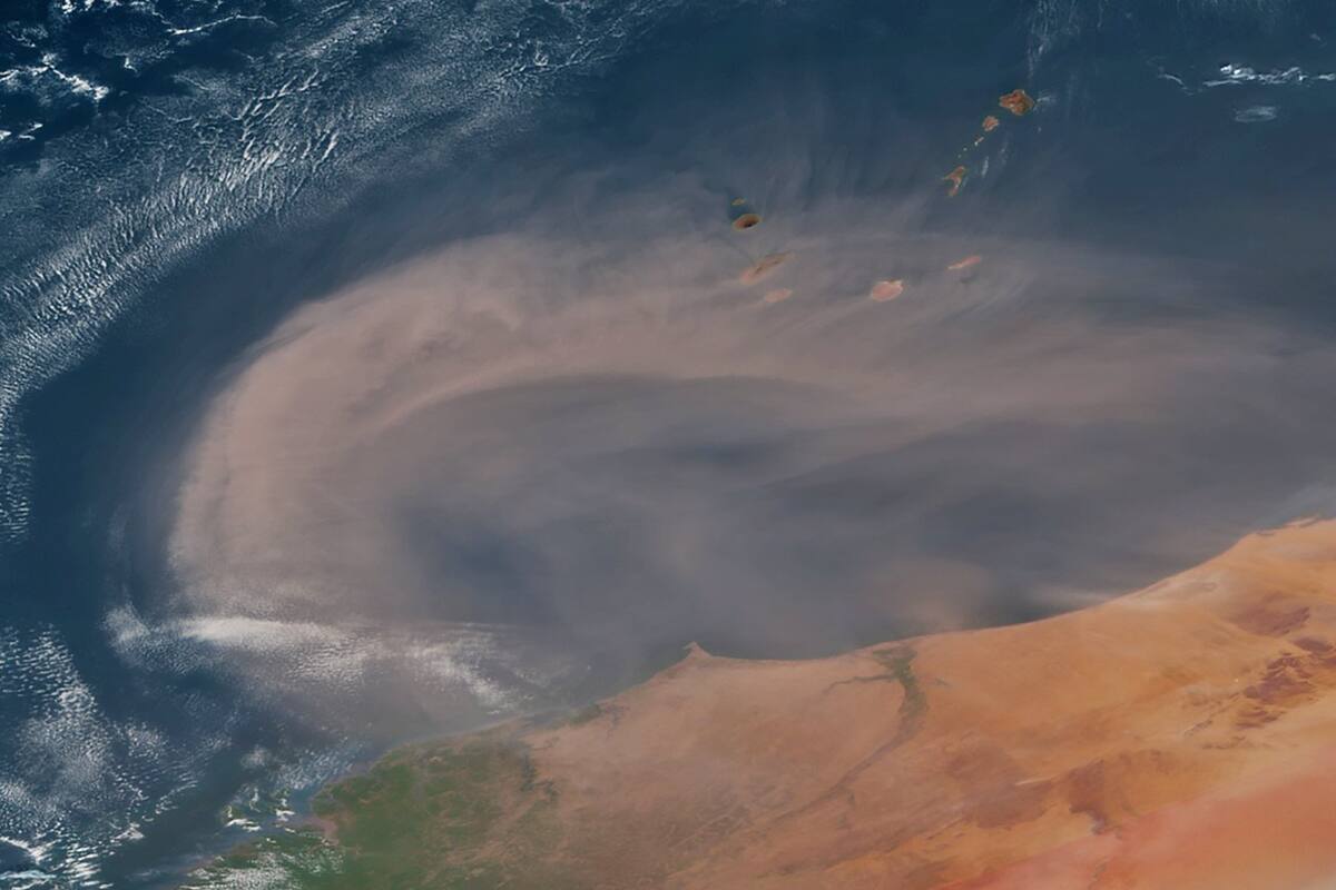Columna de polvo sahariano llega a Florida desde el desierto africano
