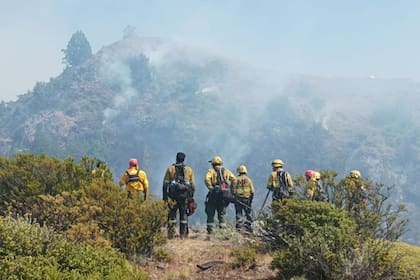 Combate del incendio en el Parque Nacional Los Alerces