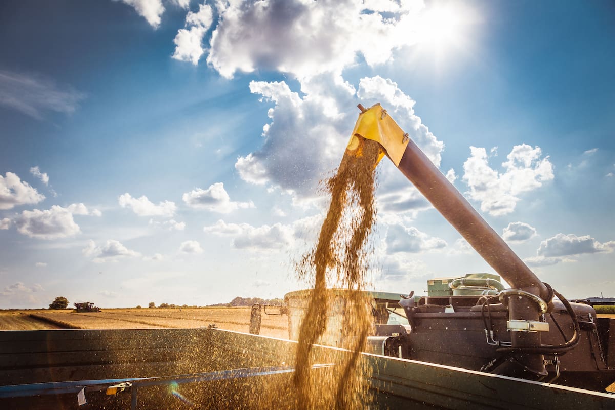 Combine harvesters Agricultural machinery. The machine for harvesting grain crops.
COSECHADORA CEREALES