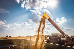 Combine harvesters Agricultural machinery. The machine for harvesting grain crops.
COSECHADORA CEREALES