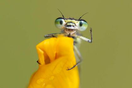 Hola, amigos!
