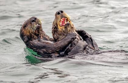 Guerra de cosquillas
