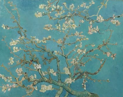 "Comencé a hacer un cuadro para él, para que cuelgue en su cuarto", escribió Van Gogh sobre Almendro en flor (1890), el cuadro que le regaló a su sobrino recién nacido