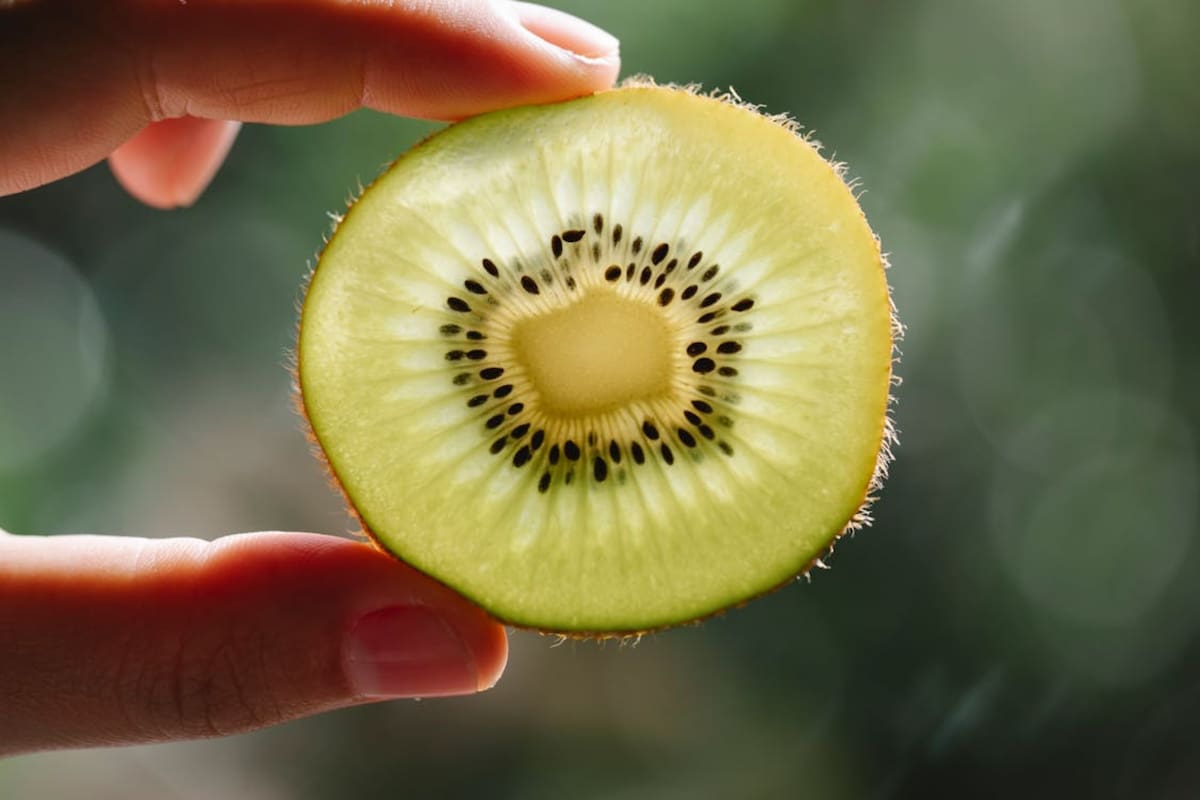 Comer dos kiwis al día mejora la salud gastrointestinal, según especialista de Harvard. Pexels / Any Lane