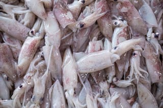 Pesca ilegal. Alertan por la presencia de buques extranjeros en mar argentino