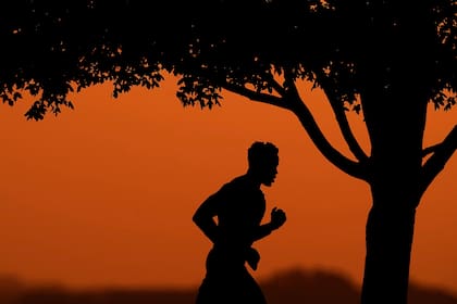 Comienza 2026 con hábitos saludables: Consejos fáciles para mejorar tu bienestar