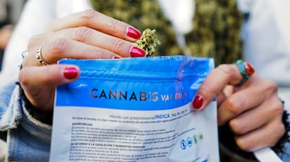 Comienza la venta recreativa en las farmacias de Uruguay