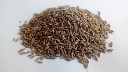 Comino (foto), paprika y albahaca, alguna opciones