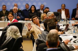 Malvinas: principios constitucionales y de política internacional