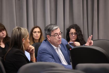 Comisión presupuesto en diputados. Preside Bertie Benegas Lynch