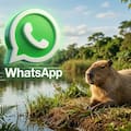 Cómo activar el modo capibara de WhatsApp