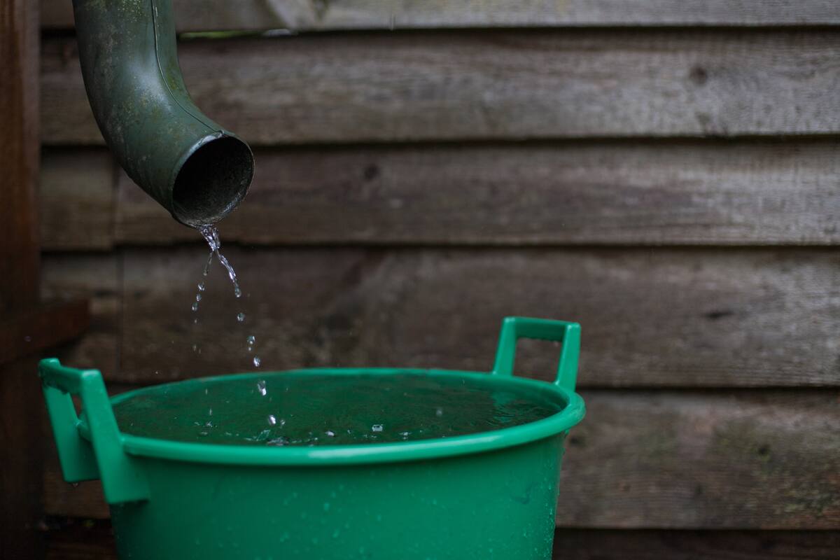 Cómo ayudar a prevenir los criaderos de mosquitos.