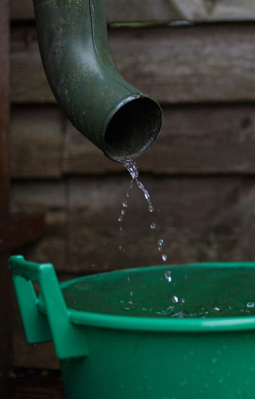 Cómo ayudar a prevenir los criaderos de mosquitos.