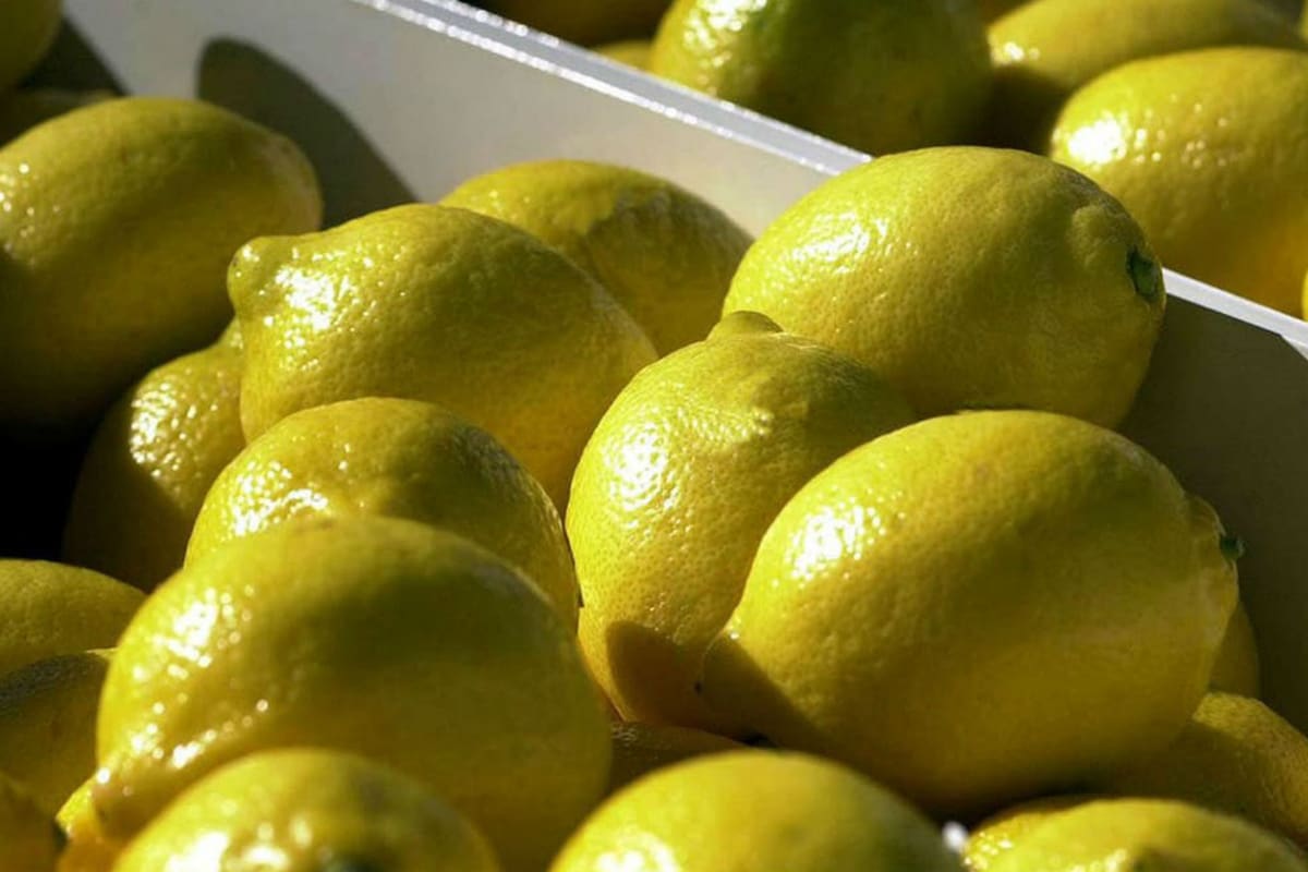 Como bloque la Unión Europea es el mayor comprador, pero si se ve la exportación por país individual, primero estuvo Rusia con 58.000 toneladas y luego Estados Unidos con 34.000