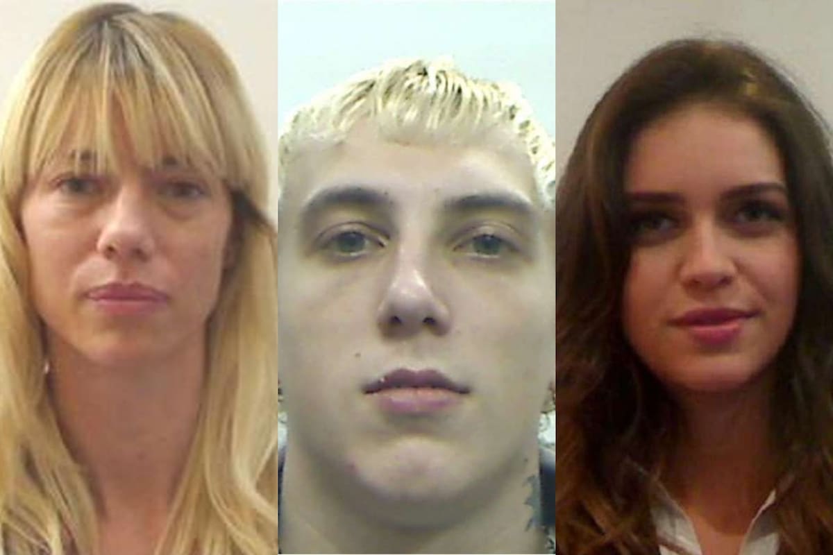 Como cada año, en las PASO 2023 volvieron a viralizarse las supuestas fotos del DNI de los famosos