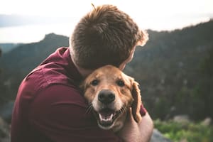 Cómo calcular la edad de tu perro