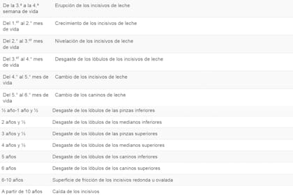 Cómo calcular la edad de tu perro a través de los dientes