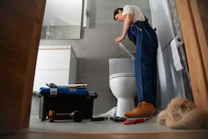 Cómo cambiar el fuelle del inodoro en tres simples pasos (Foto ilustrativa Freepik)