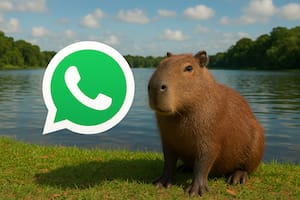 Cómo configurar el "modo Capibara" en WhatsApp