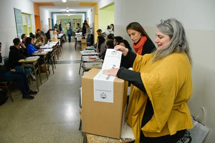 Cómo consultar el padrón electoral para las elecciones en San Luis 2025