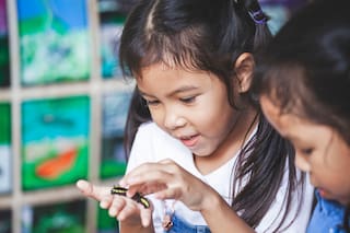 Niños curiosos, un modelo para armar