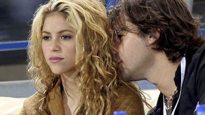 Como director de TurnesolLimited (Malta), De la Rua manejó los activos musicales y derechos de Shakira