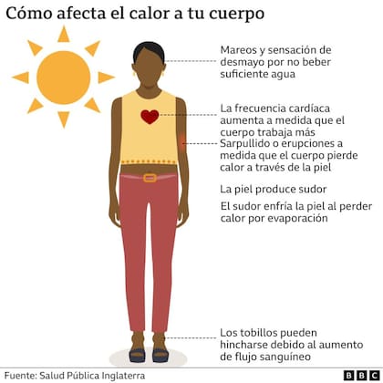 Cómo efecta el calor a tu cuerpo (BBC)
