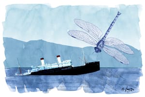 Como el Titanic, en el Canal de Beagle