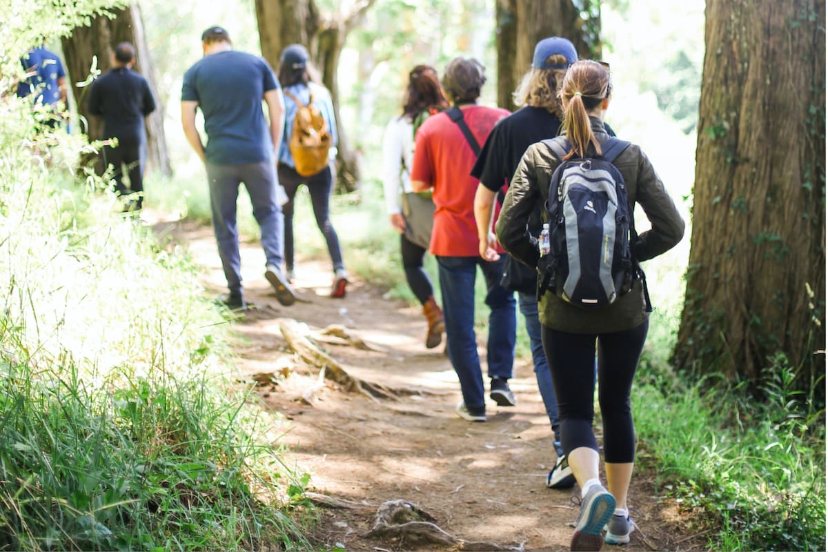 Cómo elegir entre caminar y correr