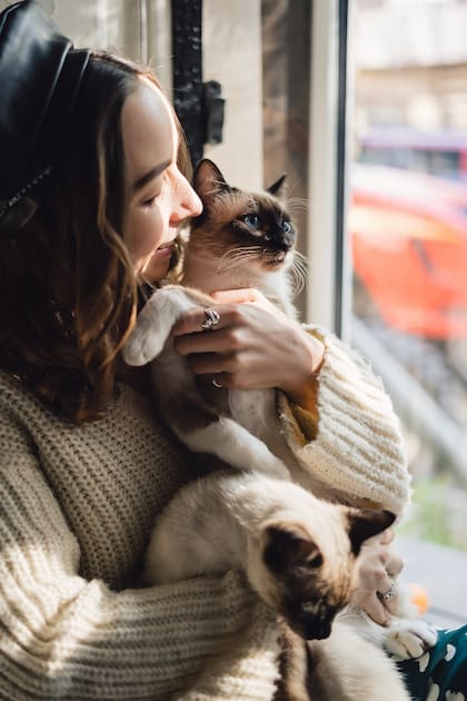 Cómo elige un gato a su persona favorita en el hogar (Foto: Freepik)