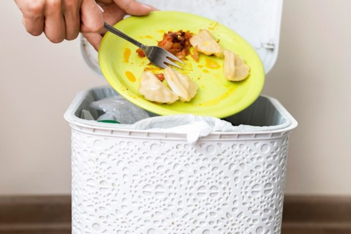 Cómo eliminar el mal olor del tacho de basura en simples pasos