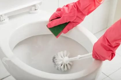 Cómo eliminar el sarro del inodoro en simples pasos