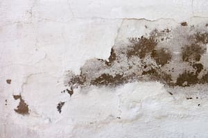 ¿Cómo eliminar la humedad de las paredes? El truco casero que gana popularidad (Foto: Freepik)
