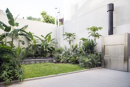 Como en un oasis urbano e íntimo, la combinación de césped, pileta y plantas exuberantes invitan a bajar el ritmo y contemplar del verde.