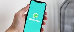 Cómo encontrar la papelera de reciclaje de WhatsApp para borrar archivos viejos