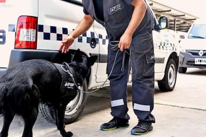 La división de adiestramiento de perros de la AFIP fue oficialmente inaugurada en 2015