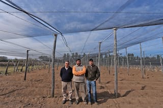 Cruz del Eje. La extraña suerte de la ciudad en que los proyectos fracasan