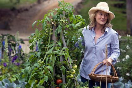 ¿Cómo es el guardarropa de las Coastal Grandmother? Relajado, como el de Jane Adler (Meryl Streep) de camisolas de seda, túnicas delicadas, sombreros para el sol listos para la jardinería