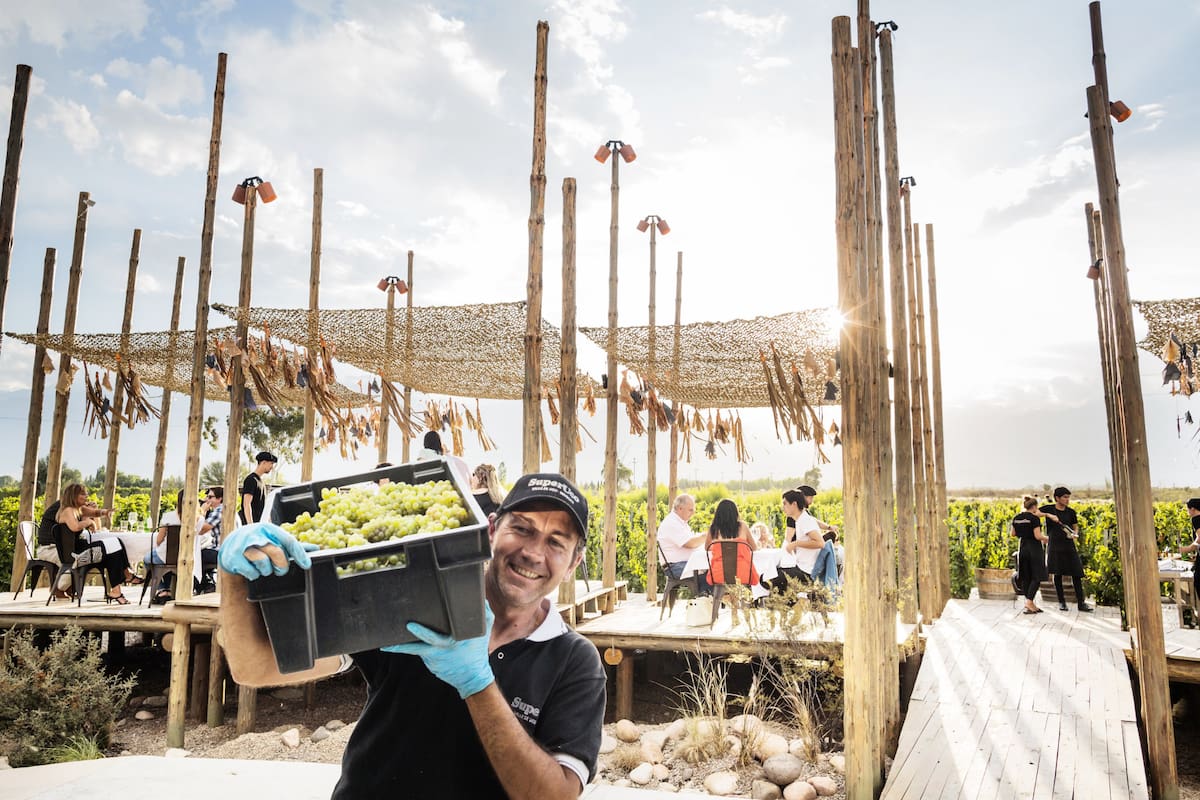 Cómo es el innovador restaurante que el reconocido chef Germán Martitegui abrió en una bodega del Valle de Uco por solo 40 días