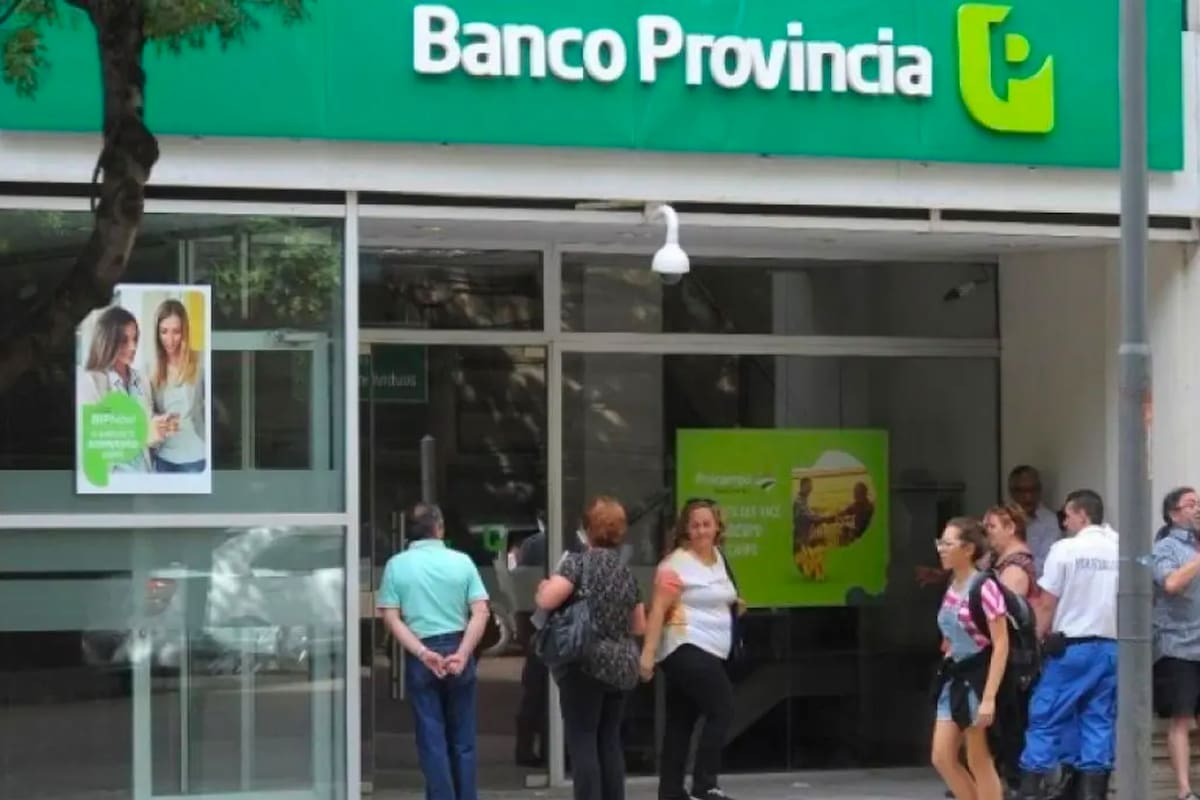 Cómo es el método para saber el saldo de la tarjeta verde del plan Más Vida del Ministerio de Desarrollo de forma 100% online